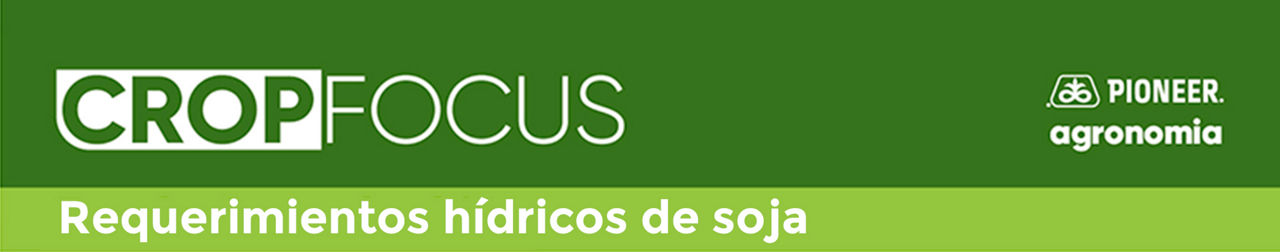 Requerimientos hídricos de soja_alt